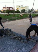 Thumbnail Placeholder