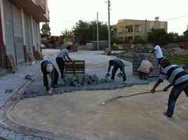 Thumbnail Placeholder